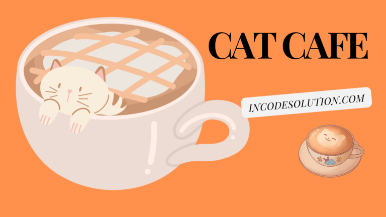 How to Open a Cat Cafe